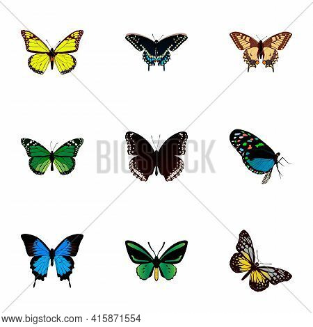 Set Of Butterfly Realistic Symbols With Green Peacock, Beauty Fly, Checkerspot And Other Icons For Y