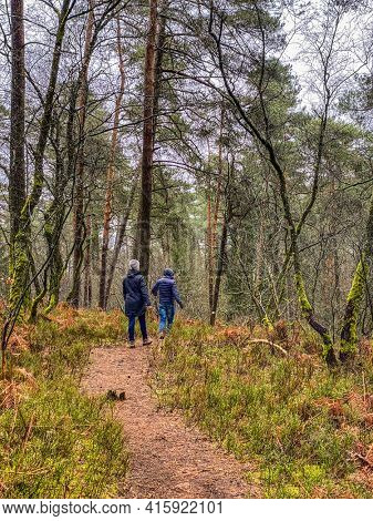 Two People hiking in Virton forest and following the Fairy path, Luxembourg, Belgium