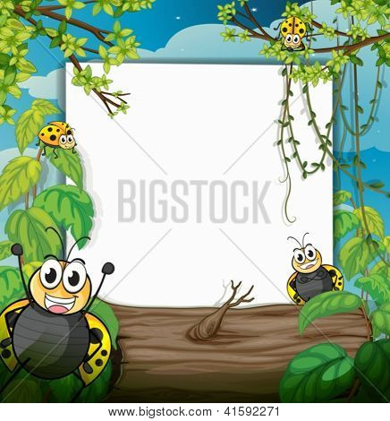 Illustration of bugs in the woods