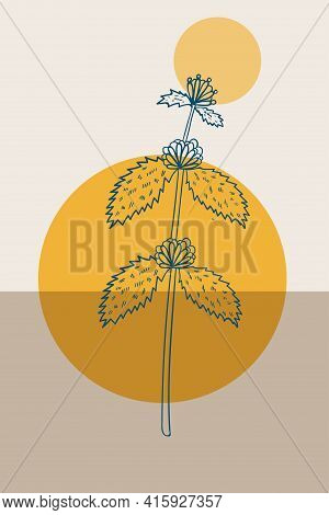 White Horehound, Abstract, Poster, Minimal Dd Ww