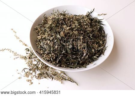 Dried Artemisia Vulgaris, The Common Mugwort. Mugwort Has Been Used Medicinally And As Culinary Herb