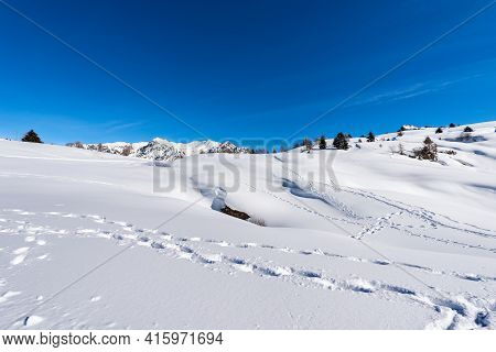 Lessinia High Plateau (altopiano Della Lessinia) And Carega Mountain (monte Carega) Also Called The 