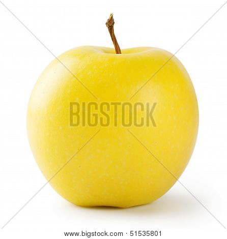 Ripe Bright Yellow Apple