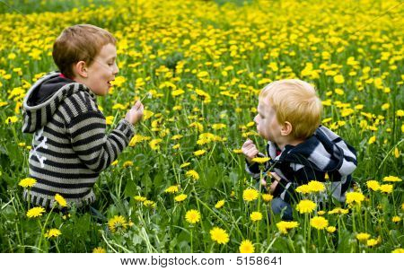 เด็กผู้ชายสองคนพัด Dandelions