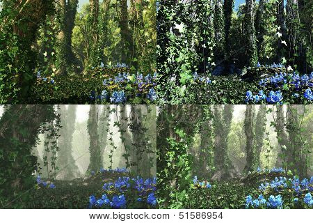 Deep Forest, 3D Computer Graphics