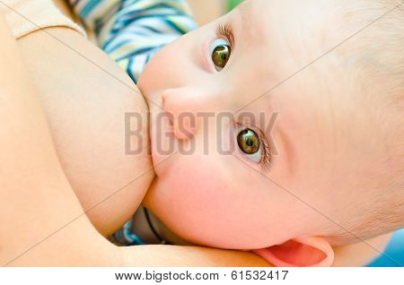 Beautiful baby is fed mother's milk looking at camera