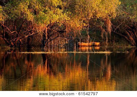 Trees and wooden boat reflected in water at sunset, Zambezi river, Namibia 