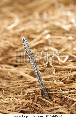 Needle In A Haystack
