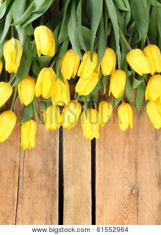 fresh yellow tulips on wooden background