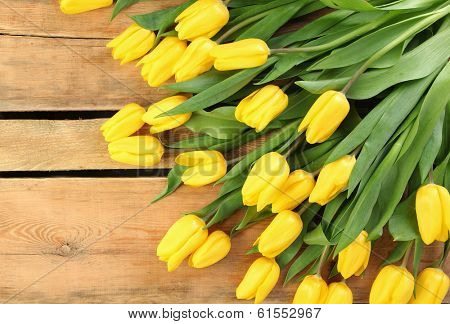 fresh yellow tulips on wooden background