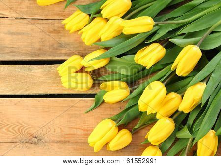 fresh yellow tulips on wooden background