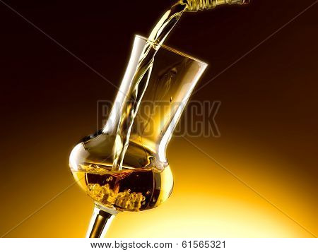 Glasses of grappa