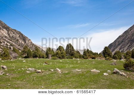 Landcscape hight mountains. Landscape in the fields.