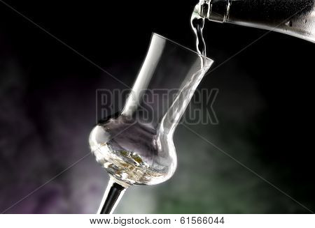 Glasses of grappa