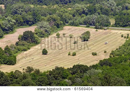 Straw Bale From Above