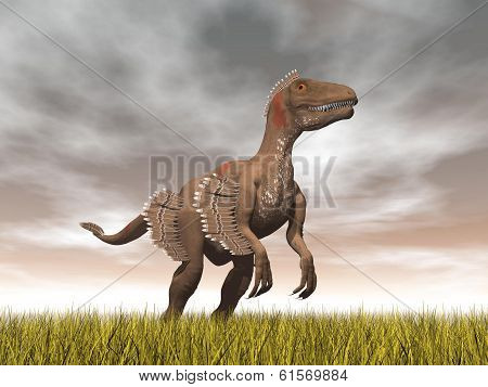 Velociraptor dinosaur - 3D render