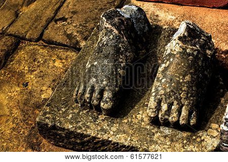 feet