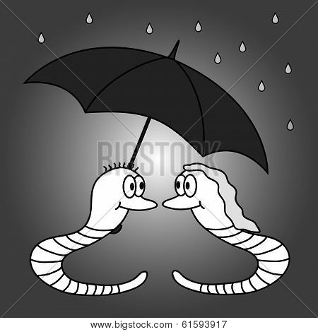 two worms and rainy weather eps10
