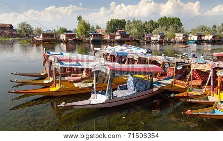Shikara boats on Dal Lake with houseboats in Srinagar