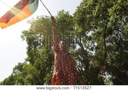 BJP celebration.