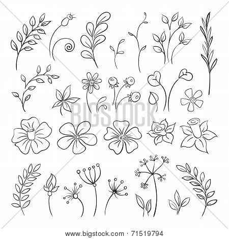 Doodle elements for design. Flowers, buds, leaves.
