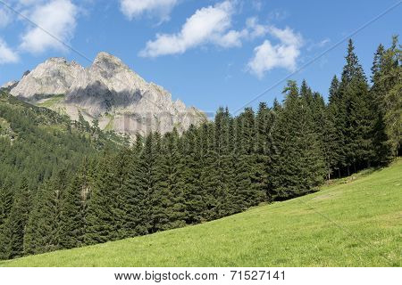 Mountains, Forest And Meadow In The Dolomites
