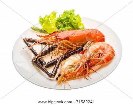 Giant Freshwater Prawn And King Prawns