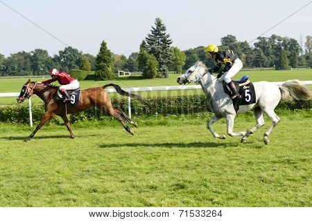WROCLAW, POLAND - SEPTEMBER 6: Race for 3-year-old Arabian horse group II on 6 September 2014 in Wroclaw, Poland. In the photograph can be seen horses Cassini no. 5 and winner Elaria no. 9. 
