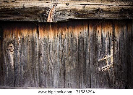 Wood Texture