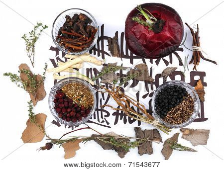 Traditional chinese herbal medicine ingredients on not real hieroglyphs, close-up