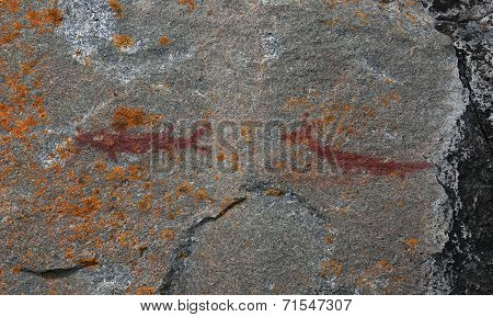 Agawa Rock Creatures