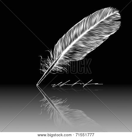 Feather, quill