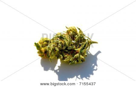 Nugg Unkraut