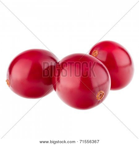 cranberry  isolated on white background cutout