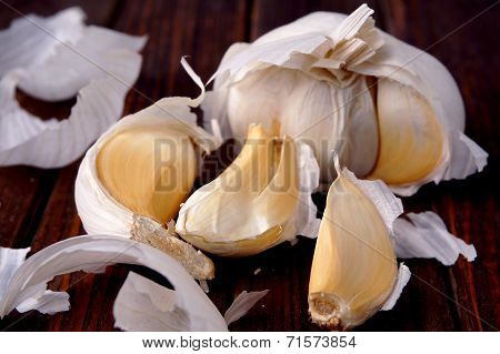 Garlic