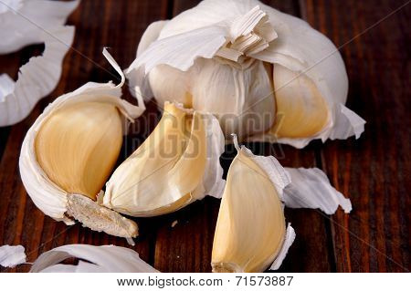 Garlic