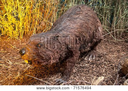 Realistic Model Of Prehistoric Animal