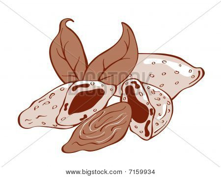 Almendra