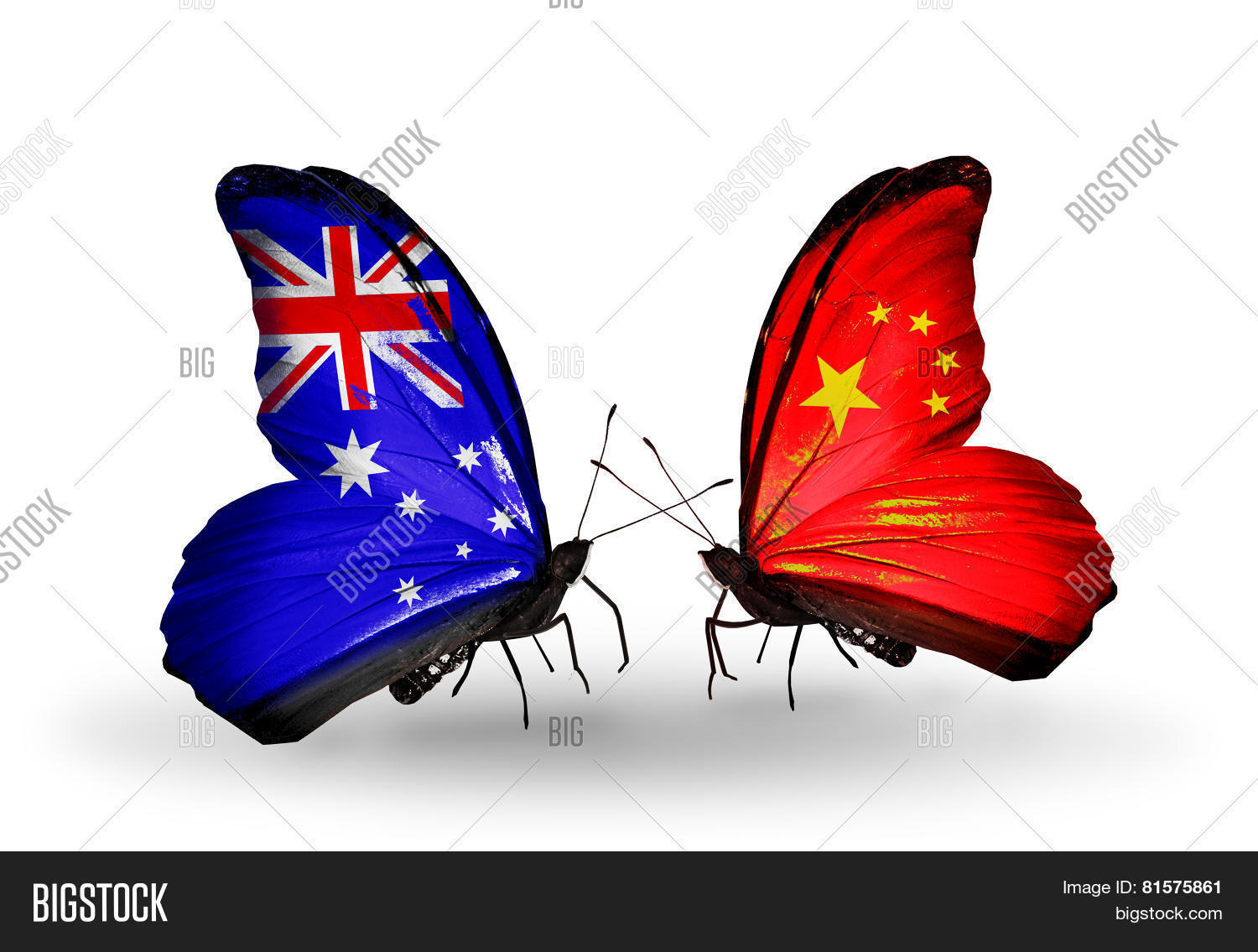 Two Butterflies Flags Image & Photo (Free Trial) | Bigstock