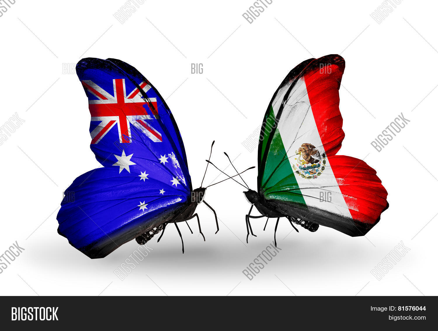 Two Butterflies Flags Image & Photo (Free Trial) Bigstock