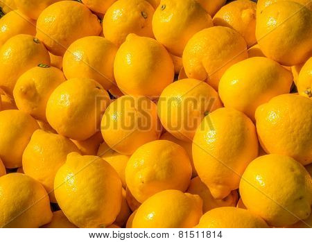 Pile of citrons