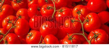 Fresh tomatoes