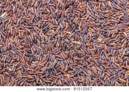 Close-up  brown rice background