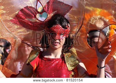 Woman In Traditional Masquerade Costume