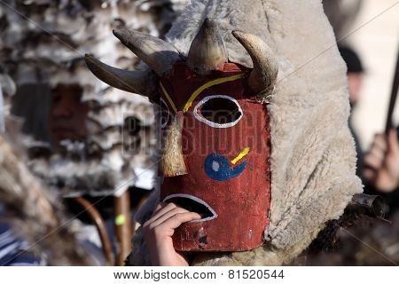 Man In Traditional Masquerade Costume