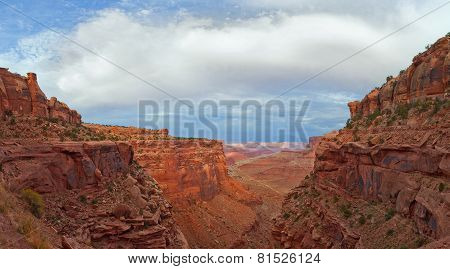 Landscape panorama of the canyon in Canyonlands national park