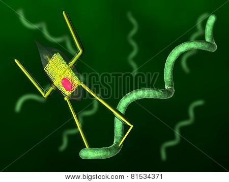 Nanobot and bacteria