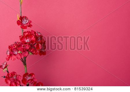 Chinese New Year's Decoration.