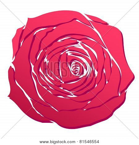 Rose head