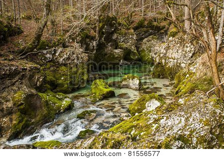 Mostnica gorge, Bohinj, Slovenia
